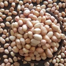 Hps Groundnut Kernels